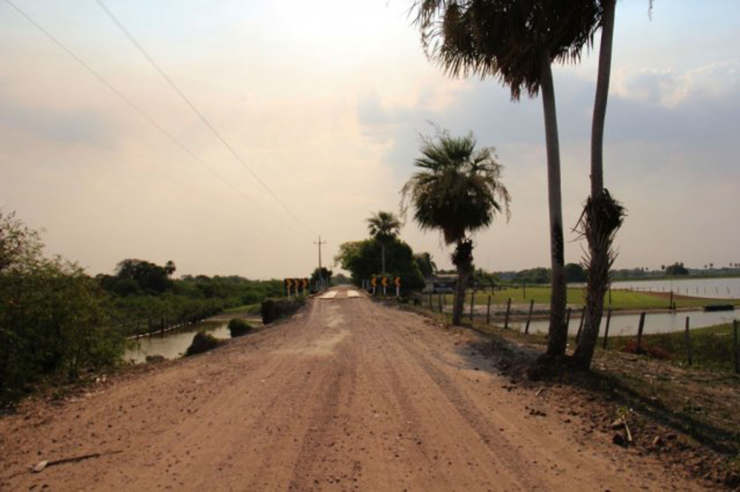 Implantação de 40 km da MS-228 muda cenários no Pantanal