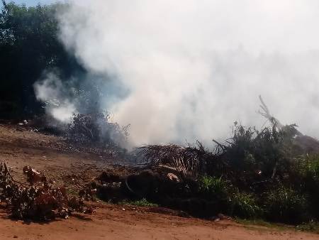 Hemerson Buiu pede fiscalização contra queimadas na área urbana de Bela Vista