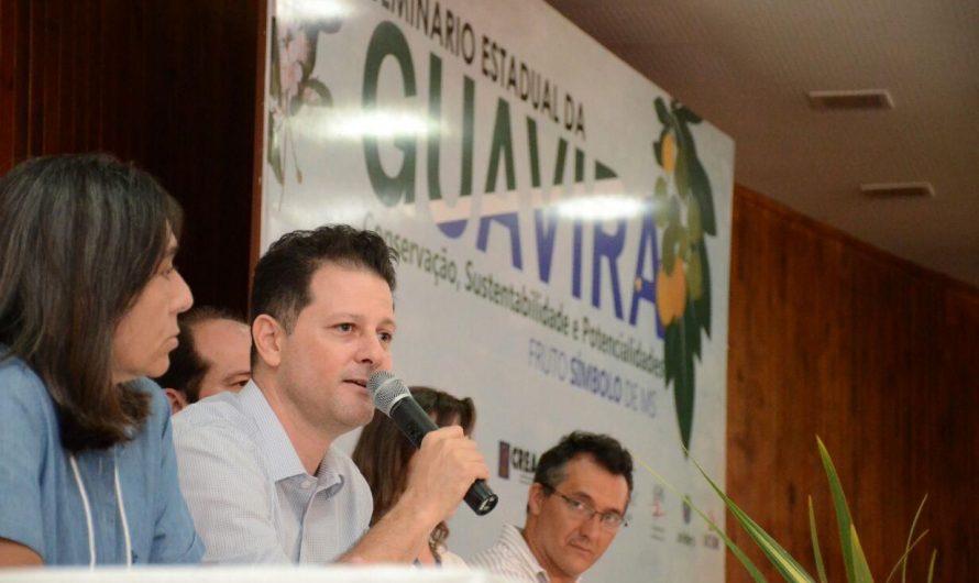 5° Seminário da Guavira vai discutir o resgate cultural e a bioeconomia; inscrições estão abertas