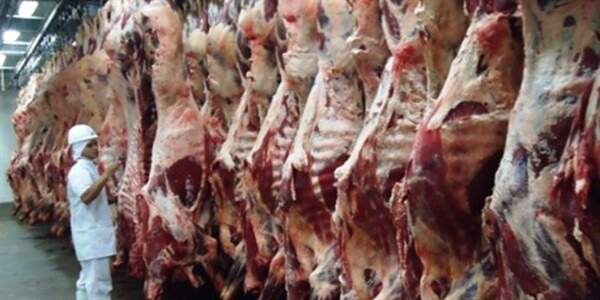Exportação de carne bovina cresce no País e Mato Grosso do Sul acompanha alta